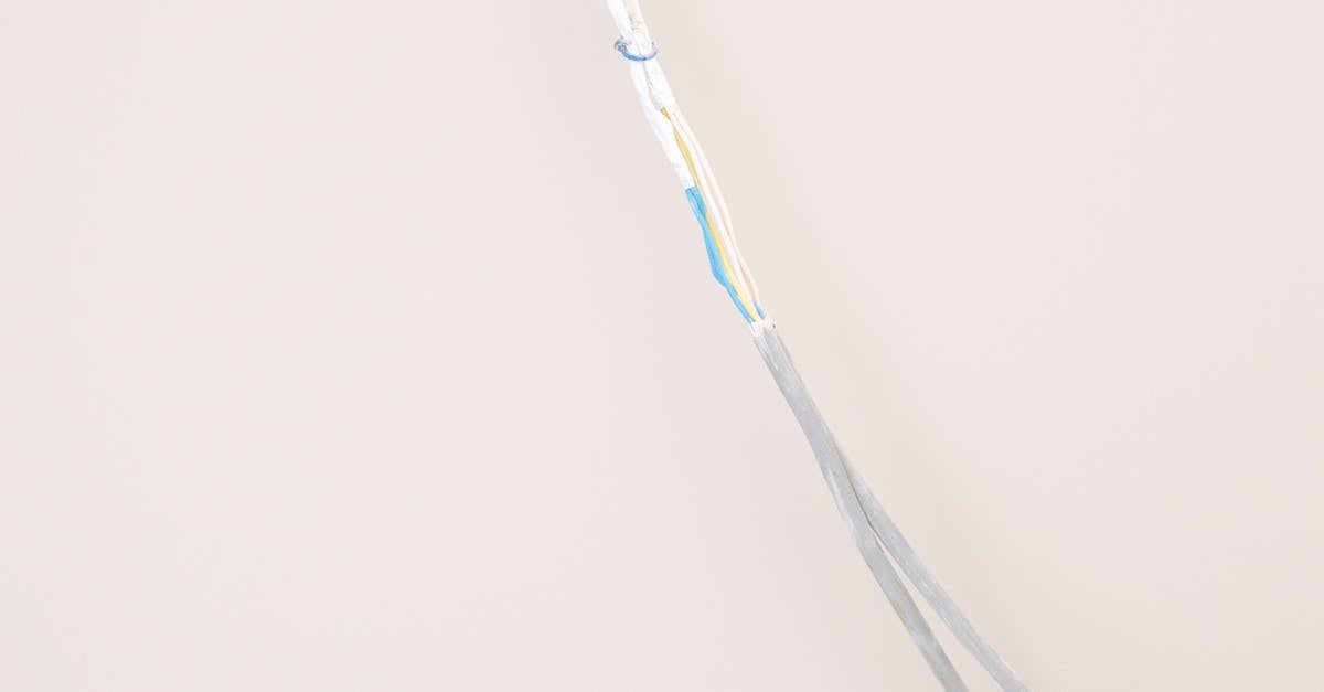 How to Conduct an Energy Audit for Your Business Premises