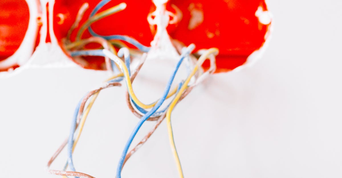 Upgrading Your Business with High-Speed Data Cabling